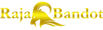 RAJABANDOT